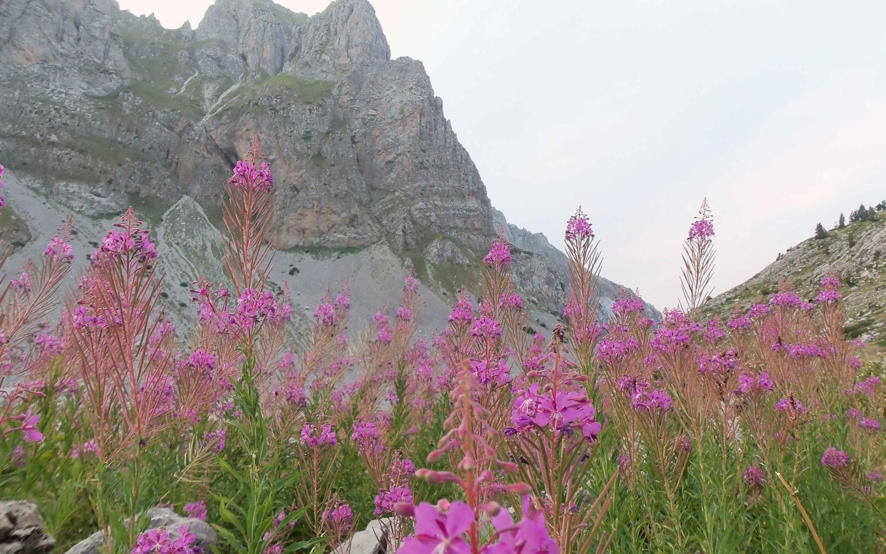 Alpes Dináricos